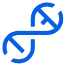 Sapientia